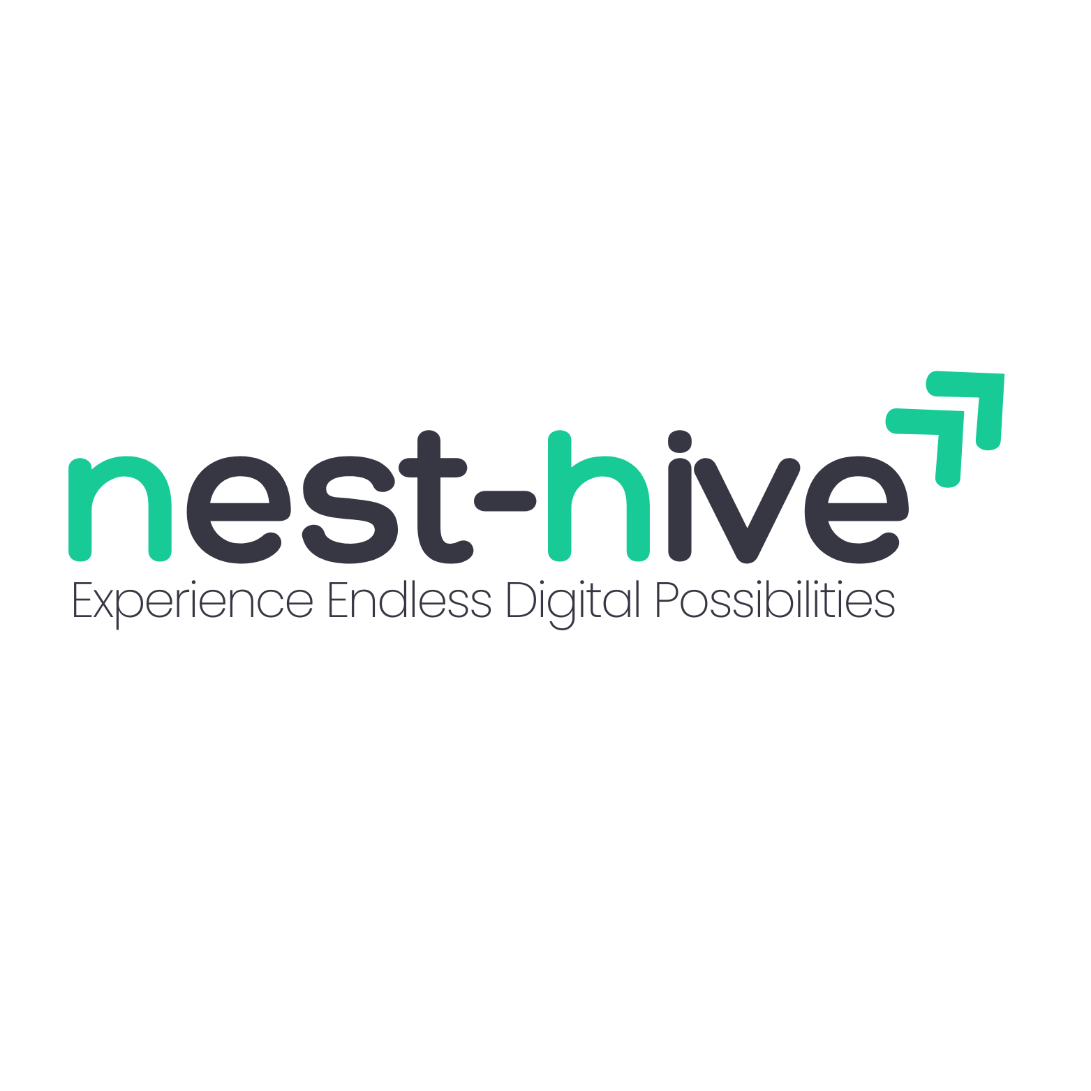 NestHive — Experience Endless Digital Possibilities